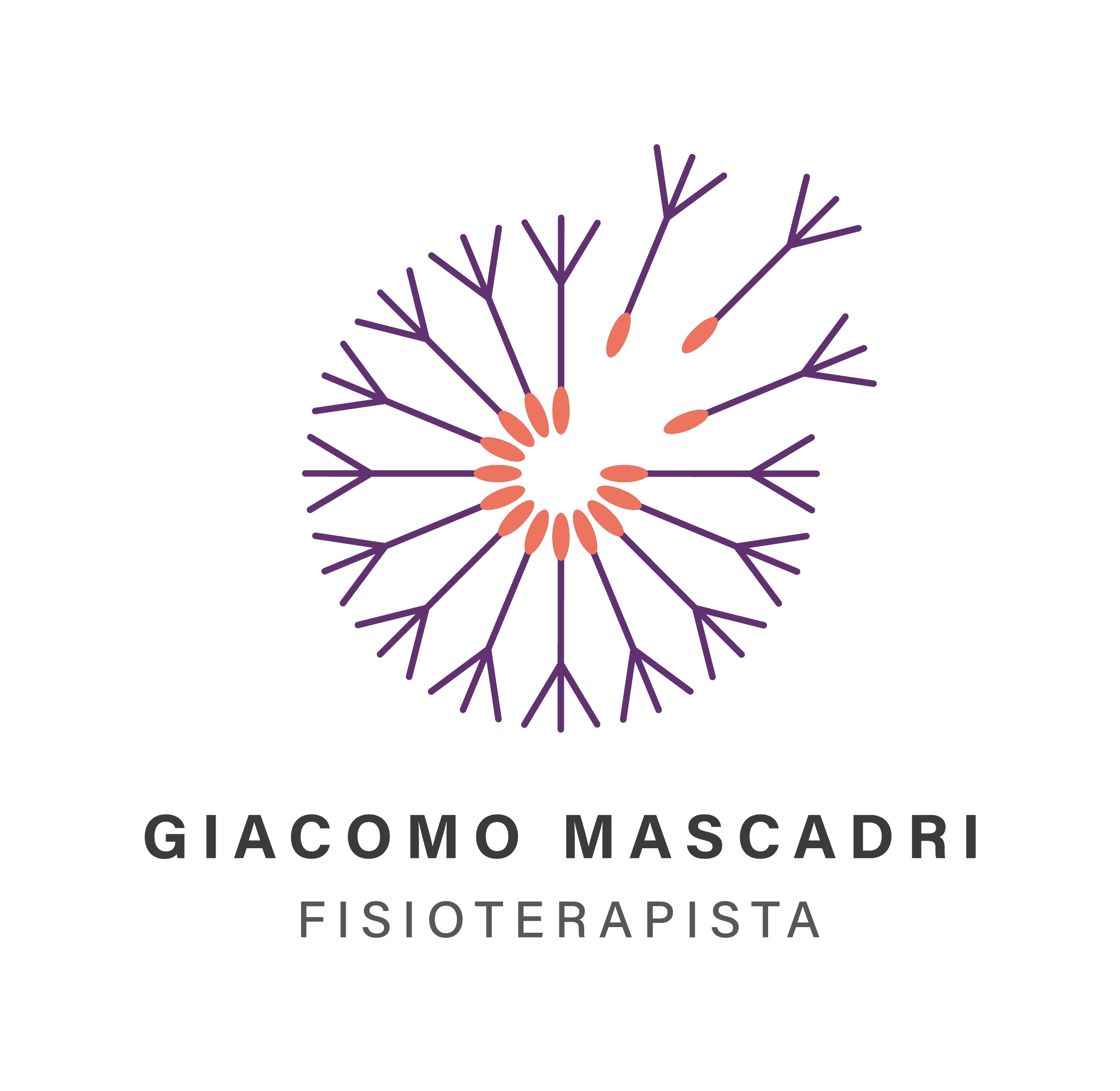 logo-principale Giacomo Mascadri
